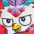:iconteh-bexki: