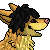 :iconTeh-Dingo: