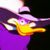 :iconteh-maskmaid: