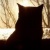 :iconteh-xeon:
