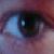 :icontehcowardlylion: