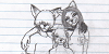 :icontehfurrymatrix: