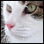 :icontehlights: