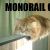 :icontehmonorailkitteh: