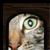 :icontehown: