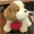:icontehpooch: