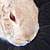 :iconteigerknien: