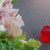 :iconteighlyrleaparis:
