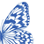 :iconteinei: