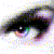 :iconteishabug: