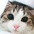 :icontekken6br: