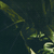 :icontelefilm-mania: