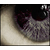 :iconteletubie: