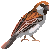 :icontelhutehflyinwolf: