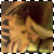 :icontellmeyoursecret:
