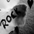 :icontelmadias: