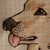 :iconteluha: