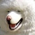 :icontemari-chan37: