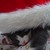 :icontemly76: