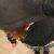 :icontempest-at-the-sun: