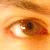 :iconTempest85: