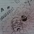 :icontempestfury76: