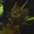 :icontempestscox: