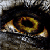 :icontempleofshadows: