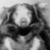 :icontempzero: