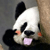 :icontemqwerty: