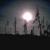 :iconten-rapid: