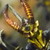 :iconten759: