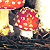 :iconTenbimza: