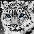 tenchi233 :icontenchi233: