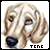 :iconteneknockout: