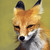 :icontenfourten: