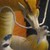 :icontengufeathers: