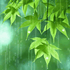 :icontenkensmile: