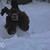 :icontenof10: