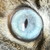 :icontenpoundphotography: