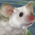 :icontenshi-no-tora: