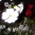 :icontenshi794: