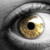 :icontentacle-twin:
