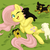 :iconteo-mcdohl: