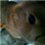 :icontephraek: