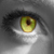 :iconter-ezca: