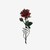 :iconteranoid002: