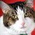 :iconteraphotography: