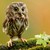 Terek13 :iconterek13: