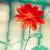 :iconteresastreasures72: